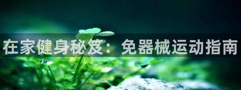 尊龙凯时：在家健身秘笈：免器械运动指南