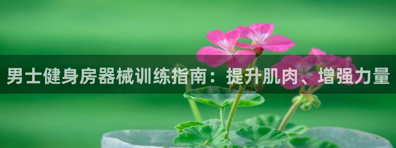 凯时kb88会员登录：男士健身房器械训练指南：提升肌