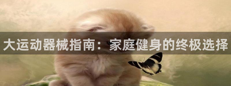 尊龙凯时网页版：大运动器械指南：家庭健身的终极选择