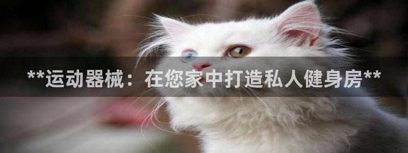 尊龙体育正规么：**运动器械：在您家中打造私人健身房