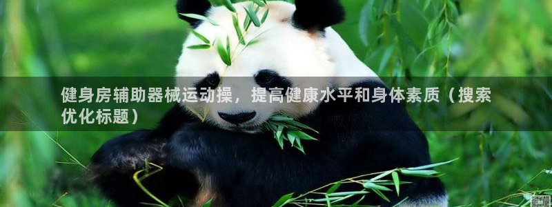 尊龙手机官方客户端下载安卓：健身房辅助器械运动操，提