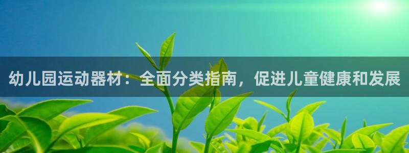 尊龙凯时发展历程：幼儿园运动器材：全面分类指南，促进