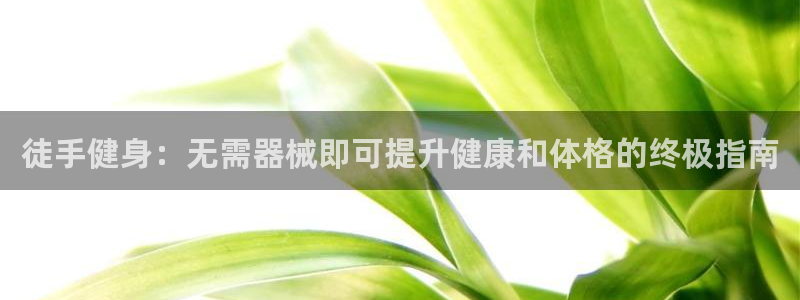 尊龙官网地址：徒手健身：无需器械即可提升健康和体格的