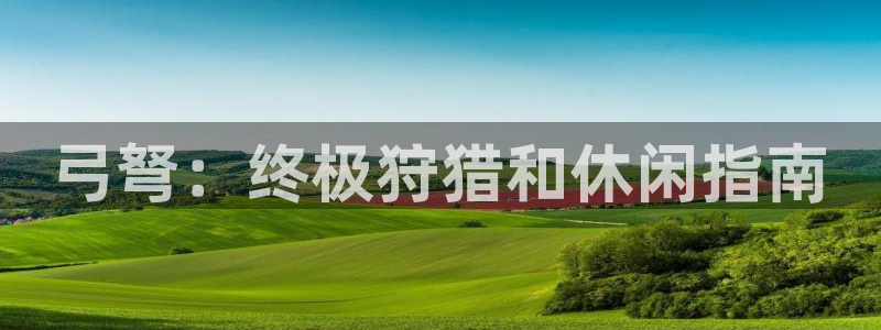 尊龙凯时注册：弓弩：终极狩猎和休闲指南