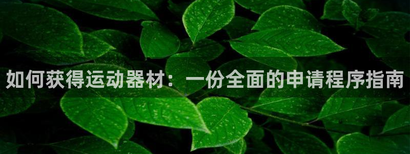 尊龙人生就是博电脑版：如何获得运动器材：一份全面的申