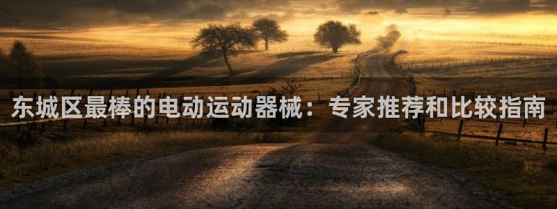 尊龙集团官网：东城区最棒的电动运动器械：专家推荐和比