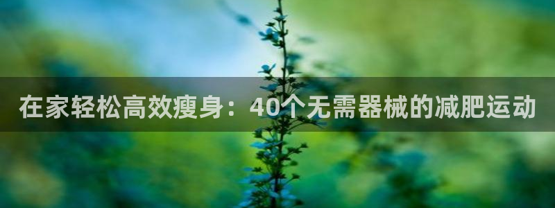 尊龙凯时网娱乐最新版下载：在家轻松高效瘦身：40个无