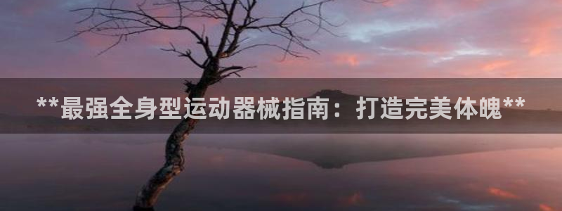 尊龙凯时始人生就是博：**最强全身型运动器械指南：打