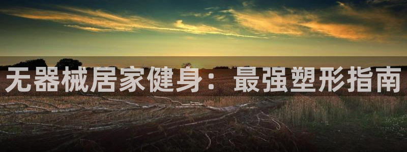 尊龙凯时登录：无器械居家健身：最强塑形指南