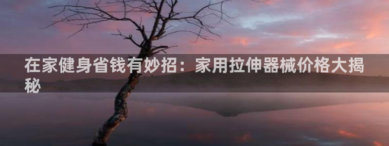尊龙在线登录官网：在家健身省钱有妙招：家用拉伸器械价格大揭

