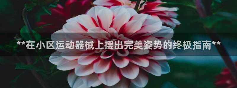ZL尊龙凯时集团：**在小区运动器械上摆出完美姿势的