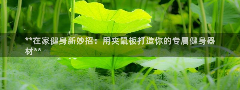 尊龙网站人生就是博：**在家健身新妙招：用夹鼠板打造