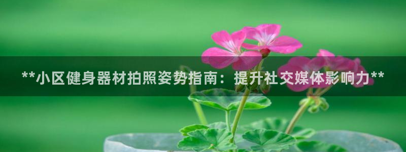 尊龙官方app下载：**小区健身器材拍照姿势指南：提