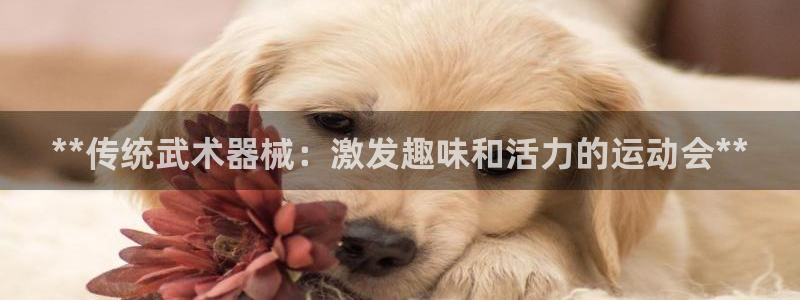 尊龙凯时正规吗：**传统武术器械：激发趣味和活力的运