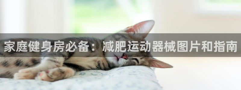尊龙凯时是正规平台吗：家庭健身房必备：减肥运动器械图