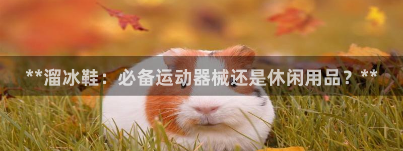 尊龙凯时·中国官方网站：**溜冰鞋：必备运动器械还是