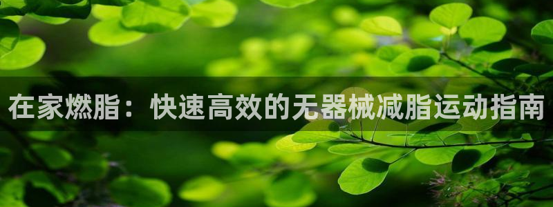 尊龙尊龙：在家燃脂：快速高效的无器械减脂运动指南