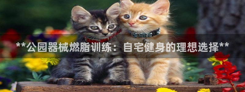 尊龙2020：**公园器械燃脂训练：自宅健身的理想选