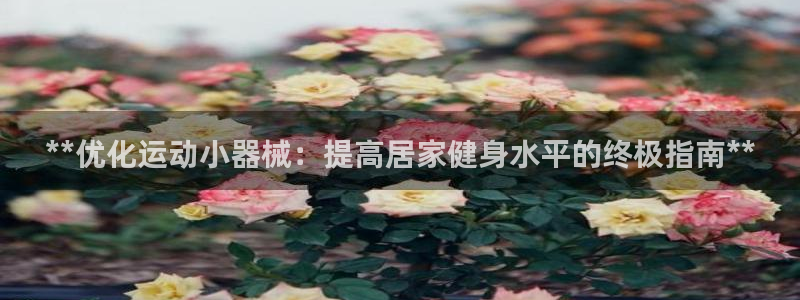 凯时k88最新：**优化运动小器械：提高居家健身水平的终极指