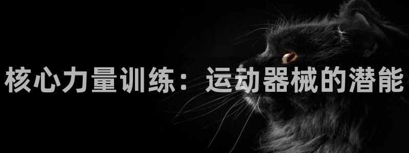 凯时登录界面：核心力量训练：运动器械的潜能