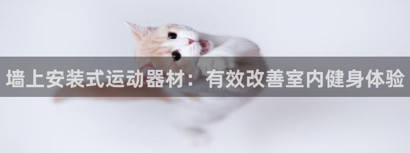 d88尊龙官网手机app：墙上安装式运动器材：有效改
