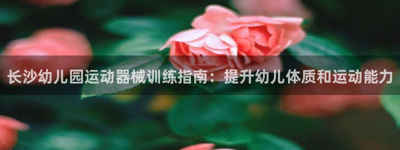 尊龙凯时口碑好吗：长沙幼儿园运动器械训练指南：提升幼