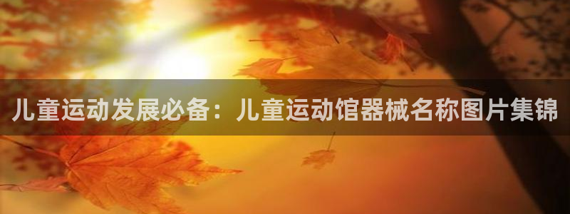 尊龙凯时官网：儿童运动发展必备：儿童运动馆器械名称图