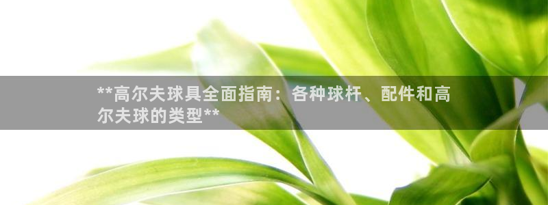 尊龙游戏官方网：**高尔夫球具全面指南：各种球杆、配