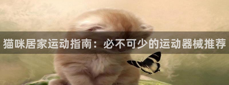尊龙游戏app官方网站：猫咪居家运动指南：必不可少的