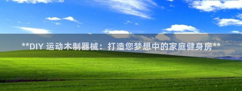 尊龙凯时人生就是搏·(中国)官网：**DIY 运动木
