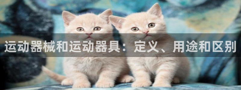 尊龙凯时 - 人生就是搏!：运动器械和运动器具：定义
