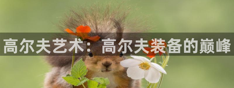尊龙,人生就是搏：高尔夫艺术：高尔夫装备的巅峰