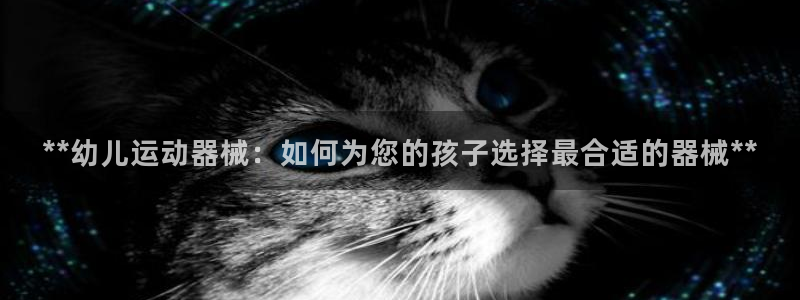 尊龙400：**幼儿运动器械：如何为您的孩子选择最合