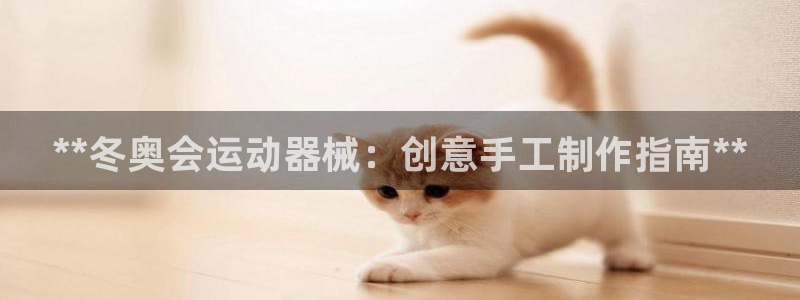 尊龙凯时是赌博嘛：**冬奥会运动器械：创意手工制作指