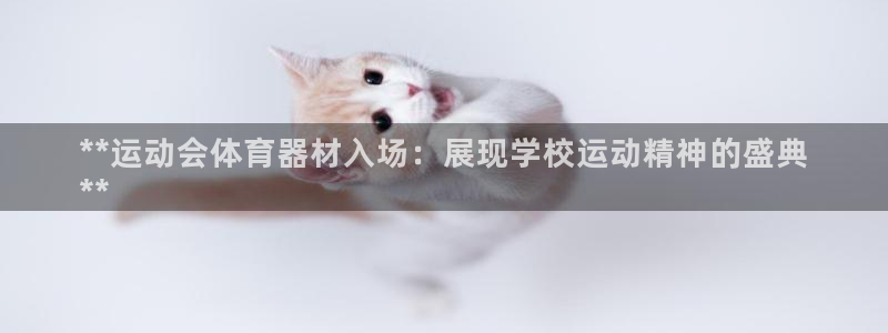 尊龙凯时z6官网：**运动会体育器材入场：展现学校运