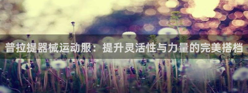 凯时国际最新