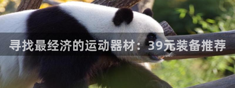 凯时K66最新版本下载