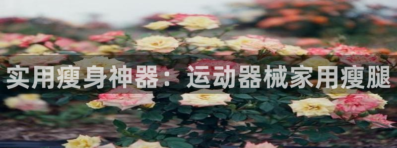 尊龙1003尊龙 - 百度