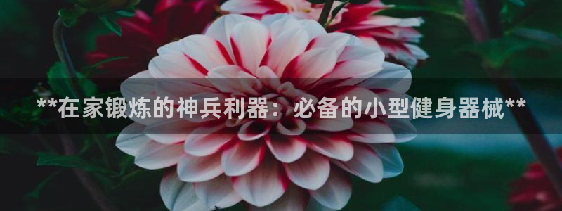 尊龙官方网站最新版V9.3.06介绍