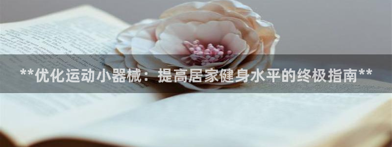 尊龙凯时处理未到账：**优化运动小器械：提高居家健身