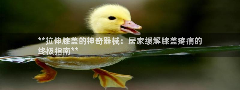 凯时平台登录：**拉伸膝盖的神奇器械：居家缓解膝盖疼
