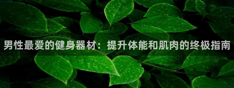 Z6尊龙凯时官方：男性最爱的健身器材：提升体能和肌肉