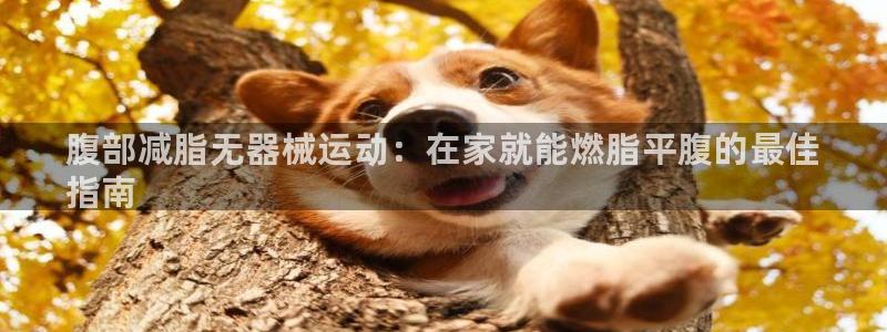 凯时官网app下载官方网站：腹部减脂无器械运动：在家就能燃脂