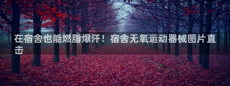 尊龙人生就是博中国区：在宿舍也能燃脂爆汗！宿舍无氧运