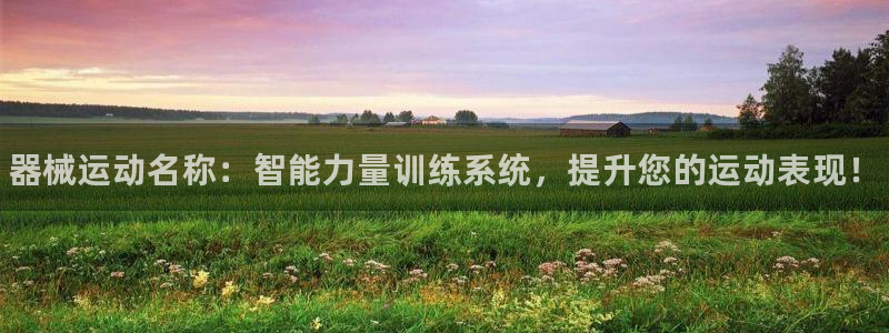 尊龙人生就是博AG：器械运动名称：智能力量训练系统，