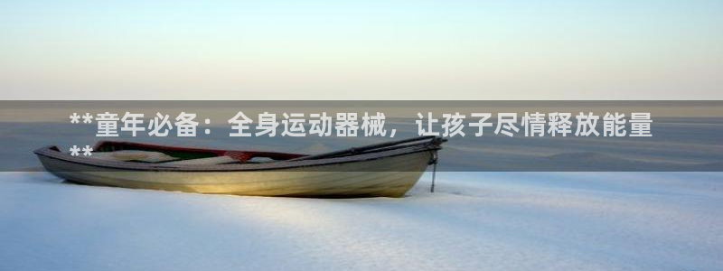 尊龙凯时提不了款：**童年必备：全身运动器械，让孩子