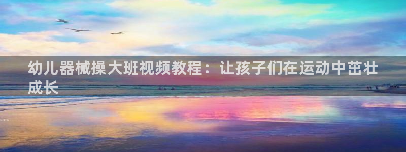 尊龙光学怎么样：幼儿器械操大班视频教程：让孩子们在运