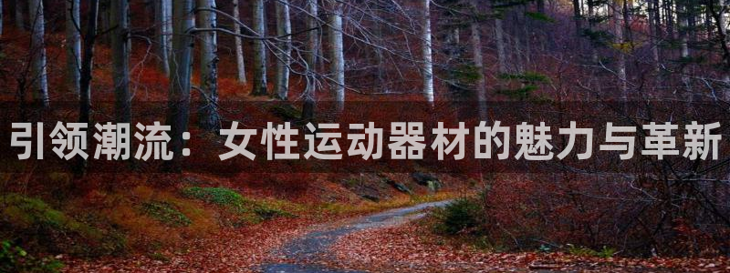 尊龙d88ag官方网站：引领潮流：女性运动器材的魅力
